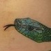 Tattoos - snake - 38134
